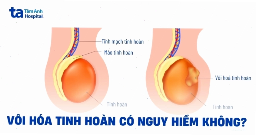 Kiểm tra sức khỏe toàn diện