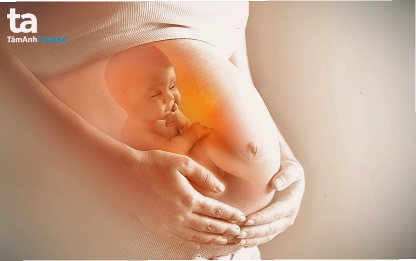 Kiến thức về xét nghiệm Double Test