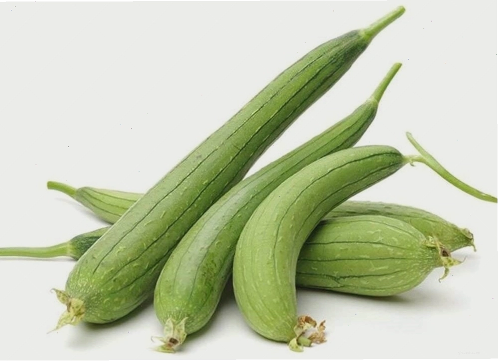 Kỹ thuật trồng mướp đạt chuẩn