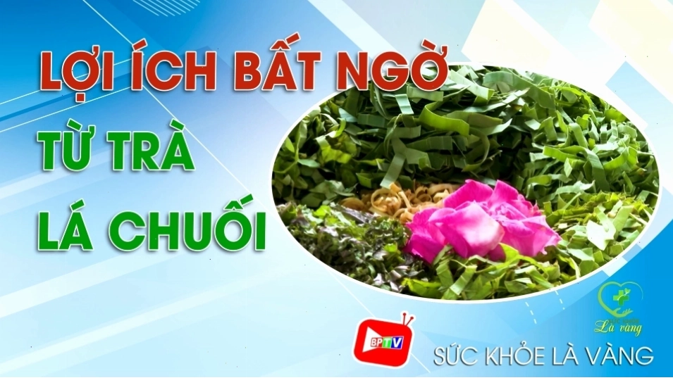 Lợi ích của việc uống trà lá chuối cho sức khỏe