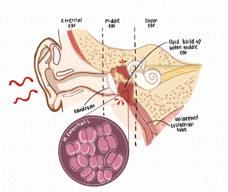 Lối sống lành mạnh với hoạt động ngoài trời