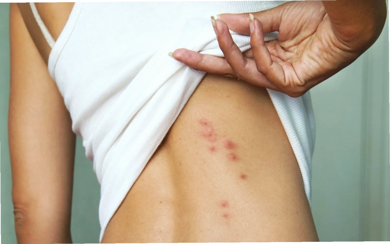 Mẹo giữ tinh thần thoải mái trong mùa hè