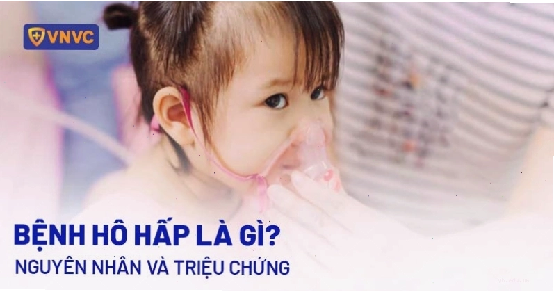 Minh họa các bệnh lý hô hấp phổ biến ở người
