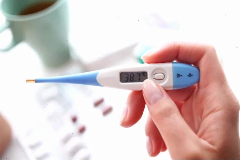 Minh họa các giai đoạn của cơn sốt