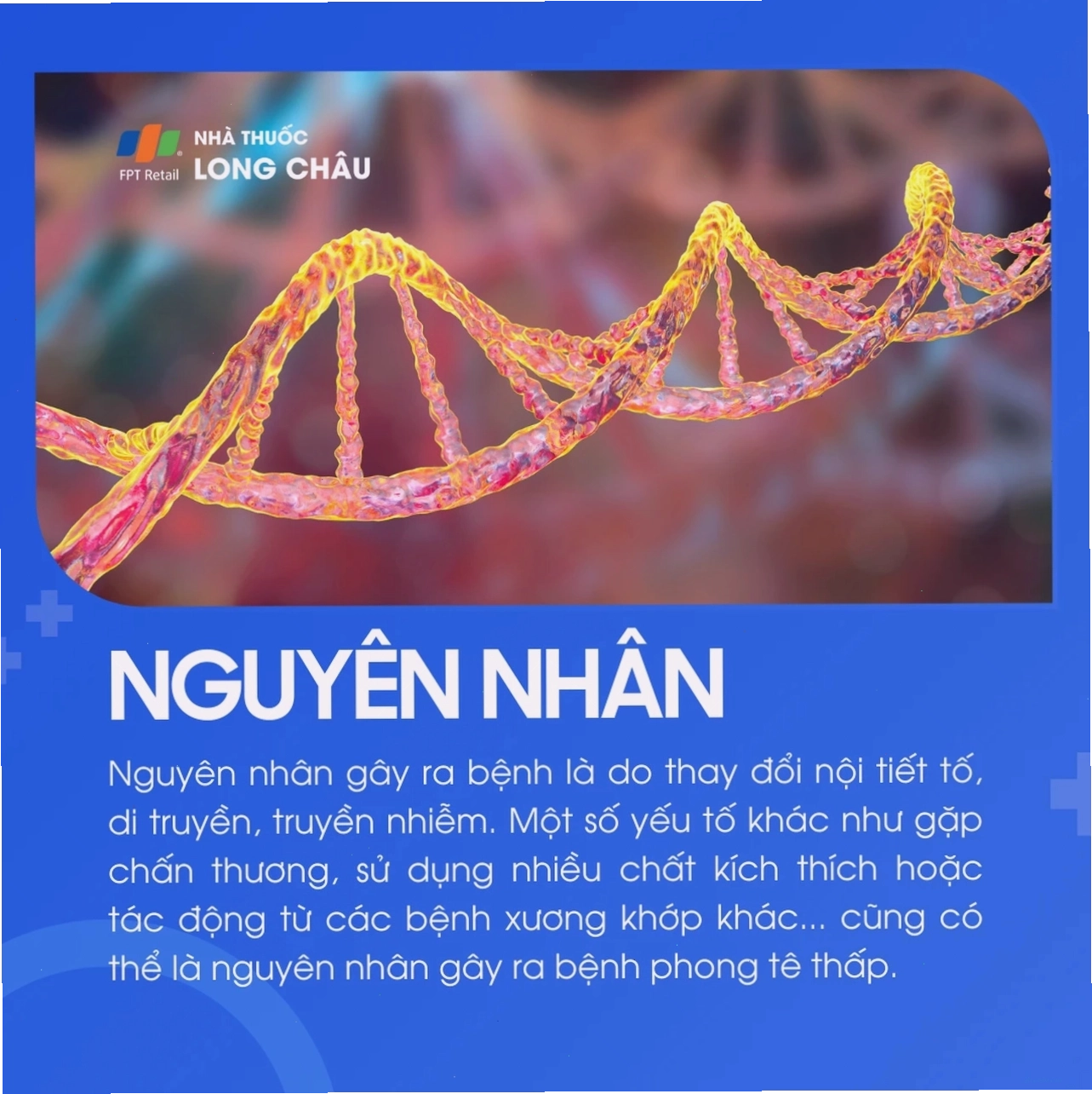 Minh họa các vị trí khớp thường bị đau do phong tê thấp