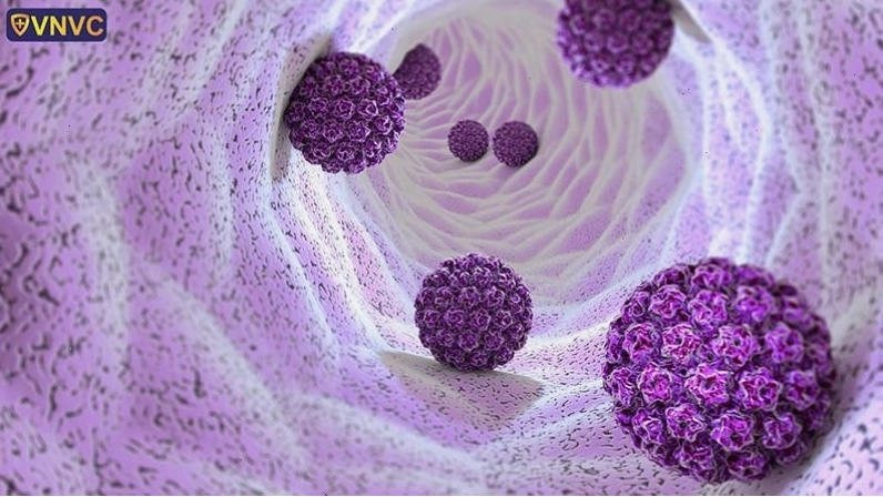 Minh họa chi tiết các chủng virus HPV