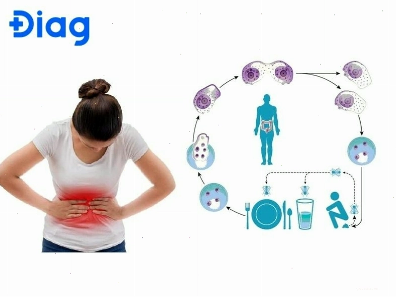 Minh họa con đường lây truyền bệnh qua thực phẩm