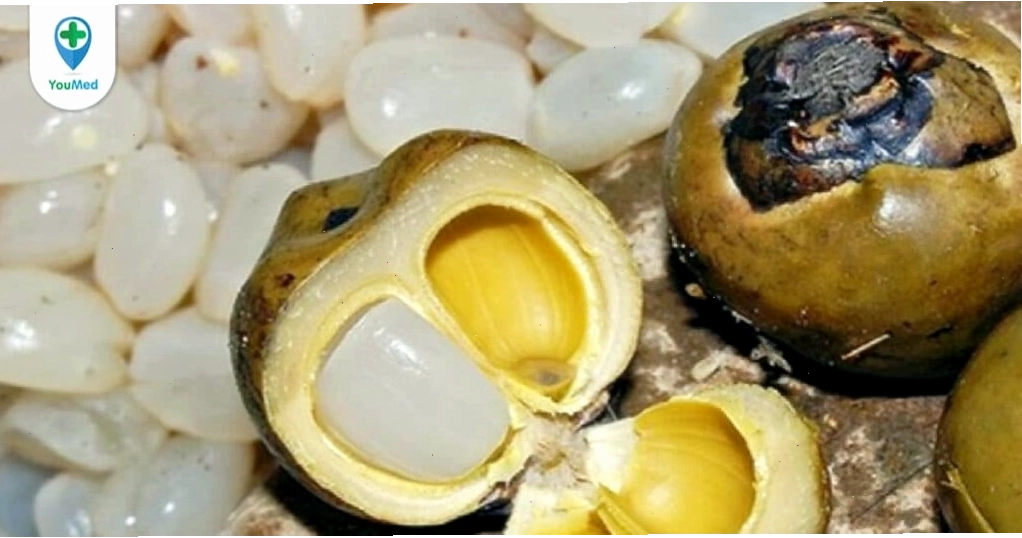 Minh họa hạt đác dinh dưỡng
