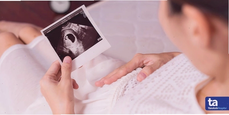 Minh họa hiện tượng thai lưu trong tử cung