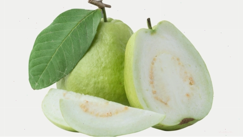 Minh họa lợi ích của việc ăn ổi mỗi ngày