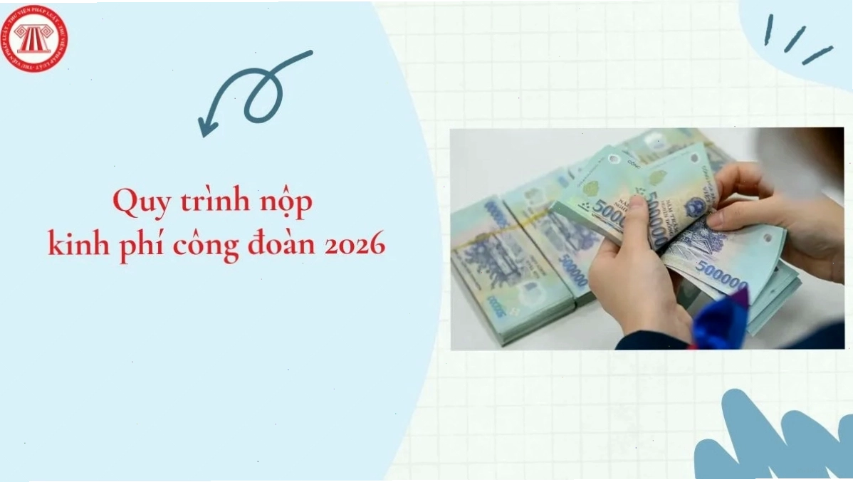 Minh họa môi trường sống
