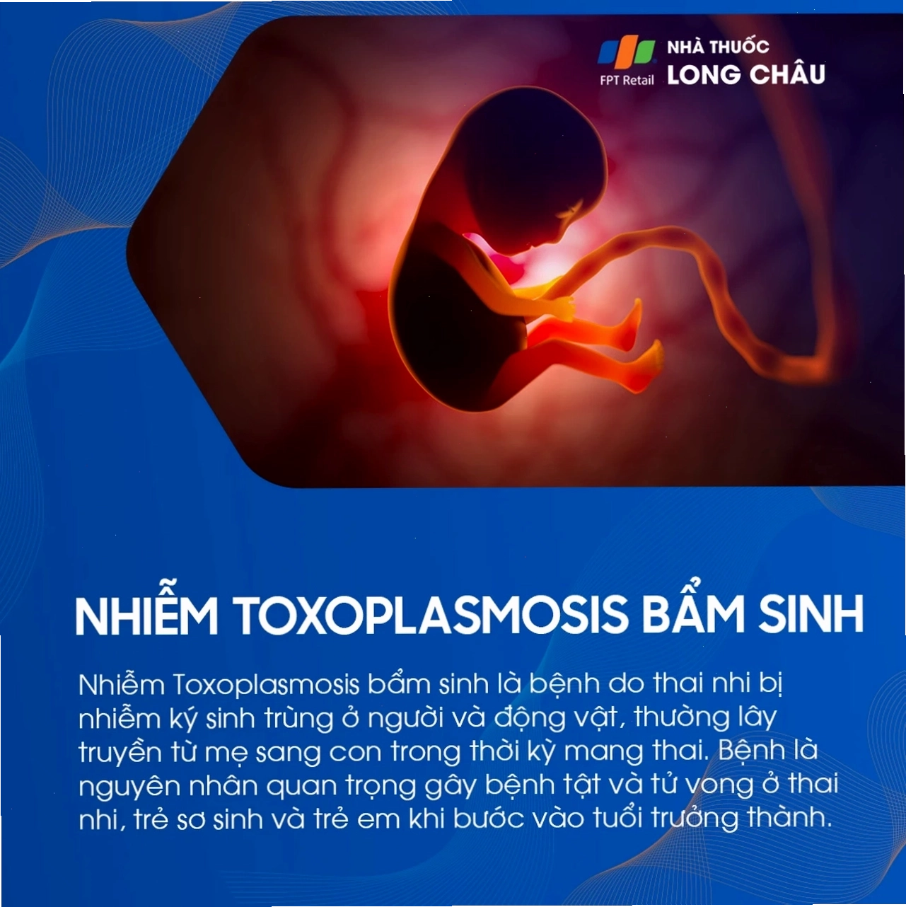 Minh họa nguy cơ nhiễm Toxoplasmosis bẩm sinh ở trẻ sơ sinh
