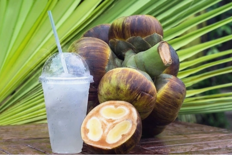 Minh họa thốt nốt và lợi ích sức khỏe