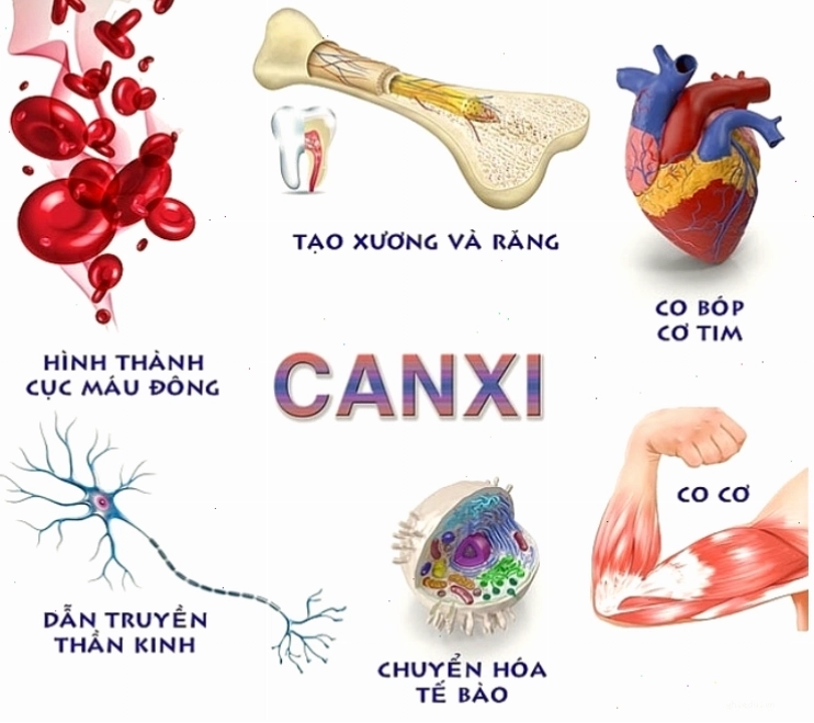 Minh họa tình trạng cơ thể thiếu hụt canxi