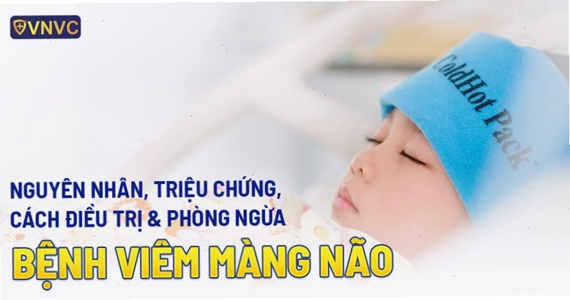 Minh họa vi khuẩn gây bệnh màng não