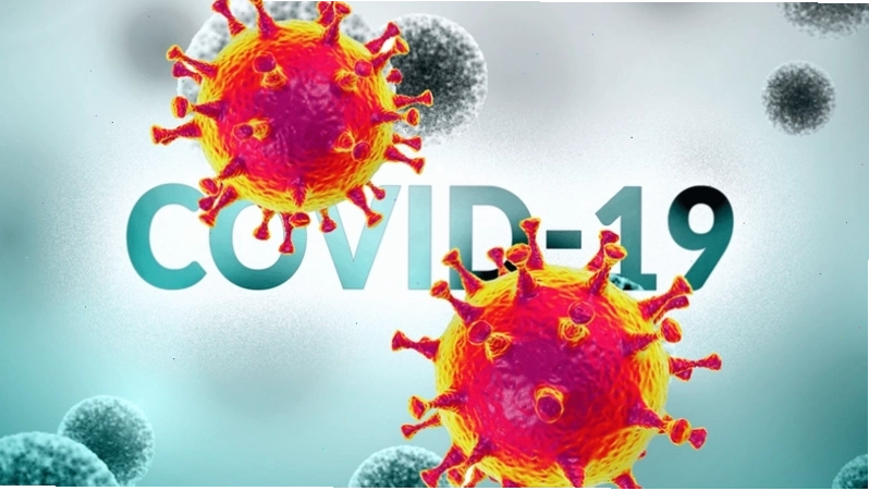 Mô phỏng virus Covid 19