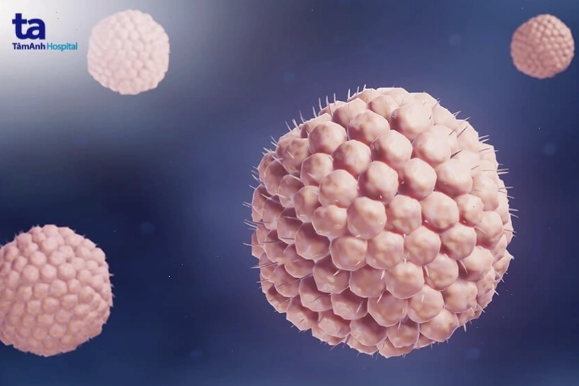 Mô tả cơ chế lây truyền của virus gây bệnh thủy đậu
