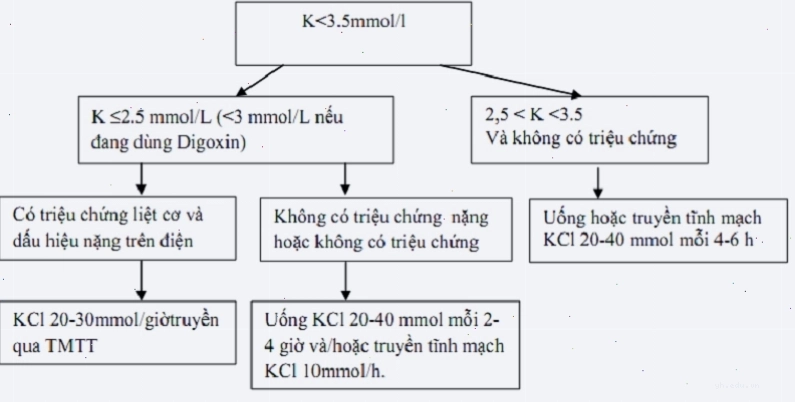 Mô tả tổng quan về tình trạng hạ kali máu và phương pháp điều trị