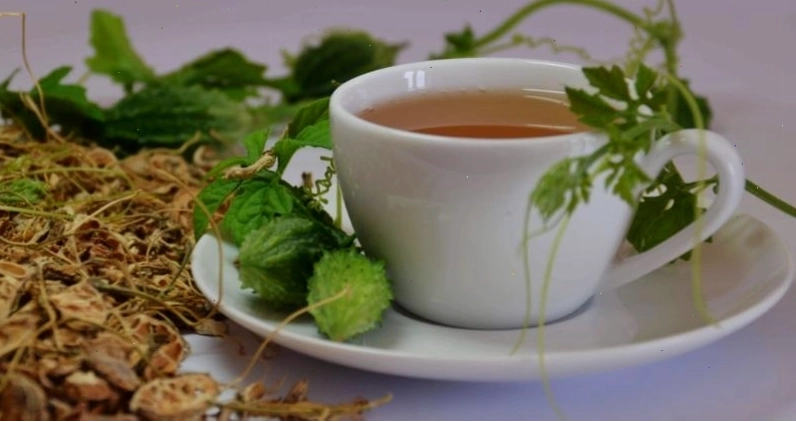 Món ăn từ khổ qua rừng