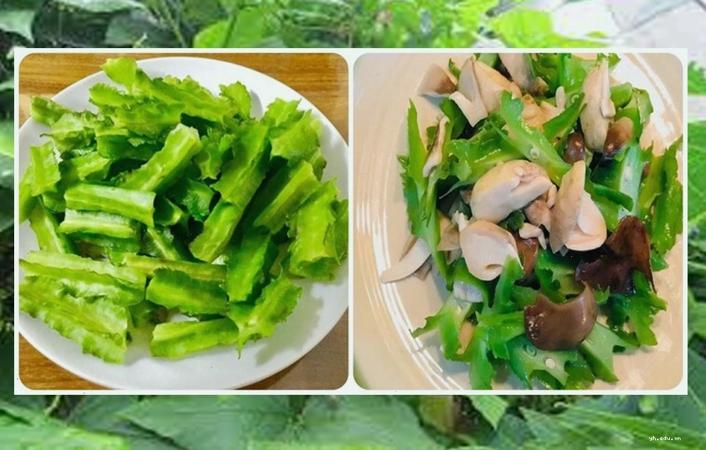 Người đang tìm hiểu về quả đậu rồng