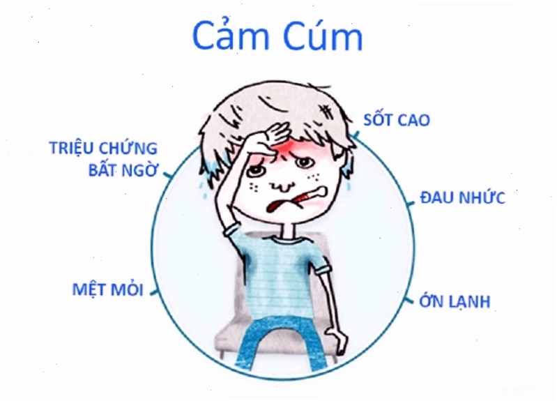 Nguyên nhân bị cúm và những điều có thể bạn chưa biết