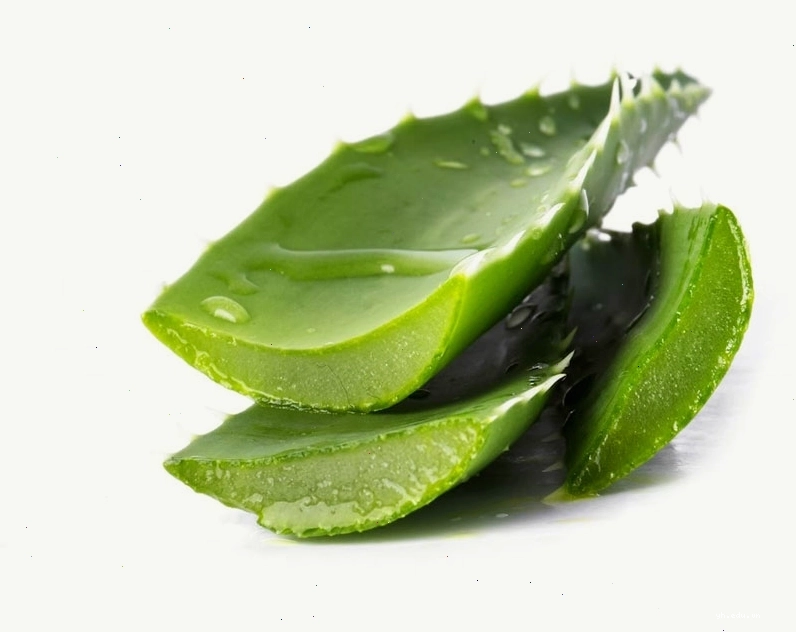 Nha đam hỗ trợ dạ dày