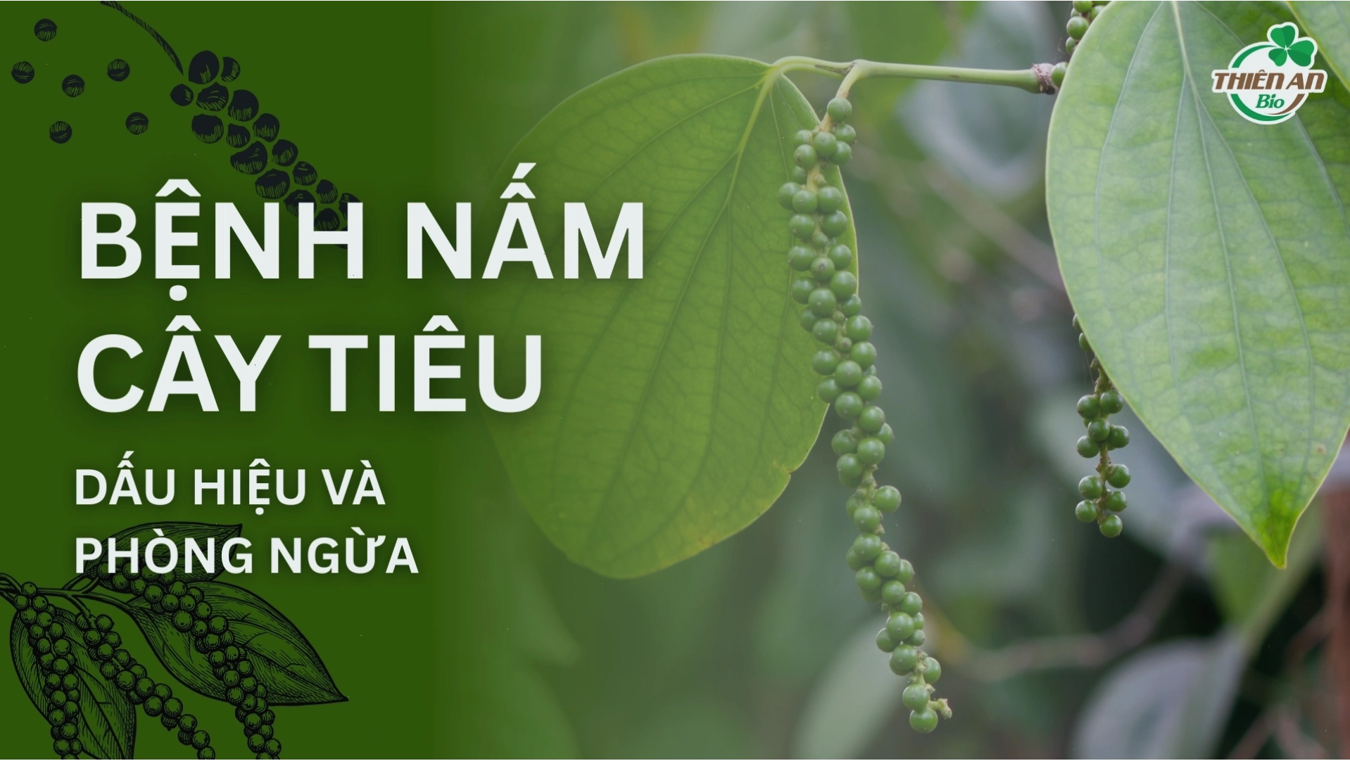 Nhận diện các dấu hiệu bệnh cần xử lý