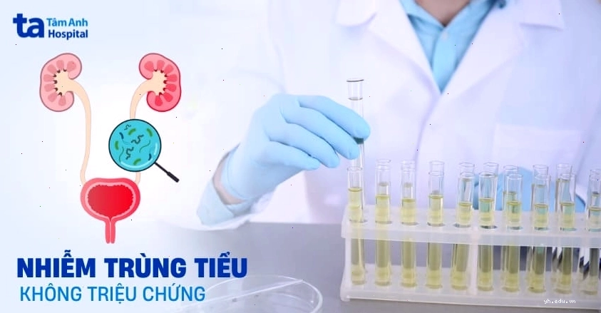 Nhiễm trùng đường tiết niệu không triệu chứng
