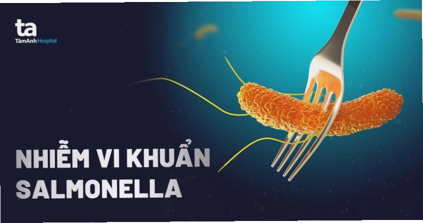 Nhiễm vi khuẩn Salmonella