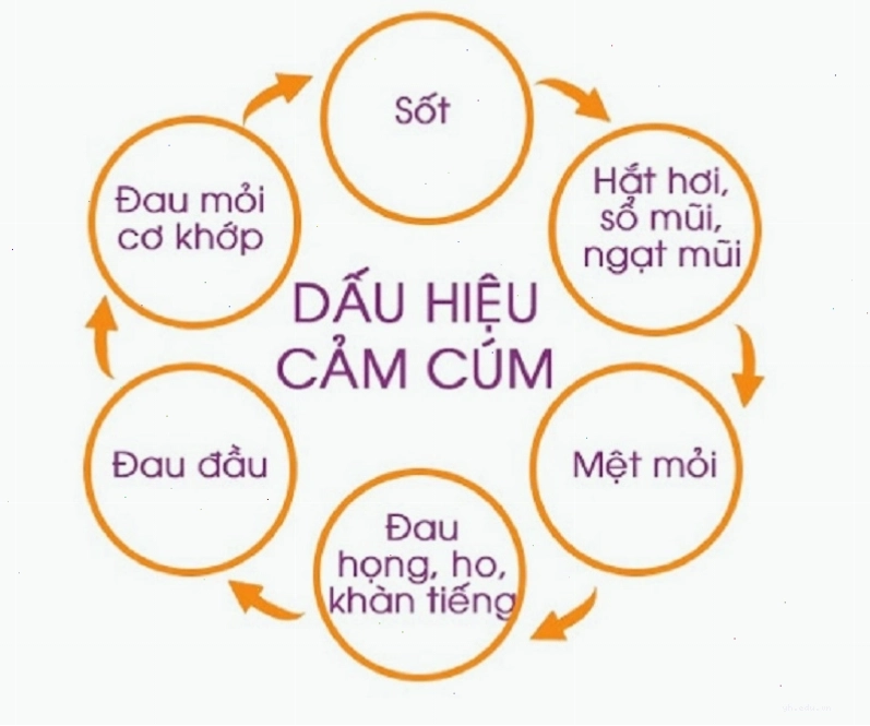 Những dấu hiệu sớm để nhận biết đang bị cảm cúm