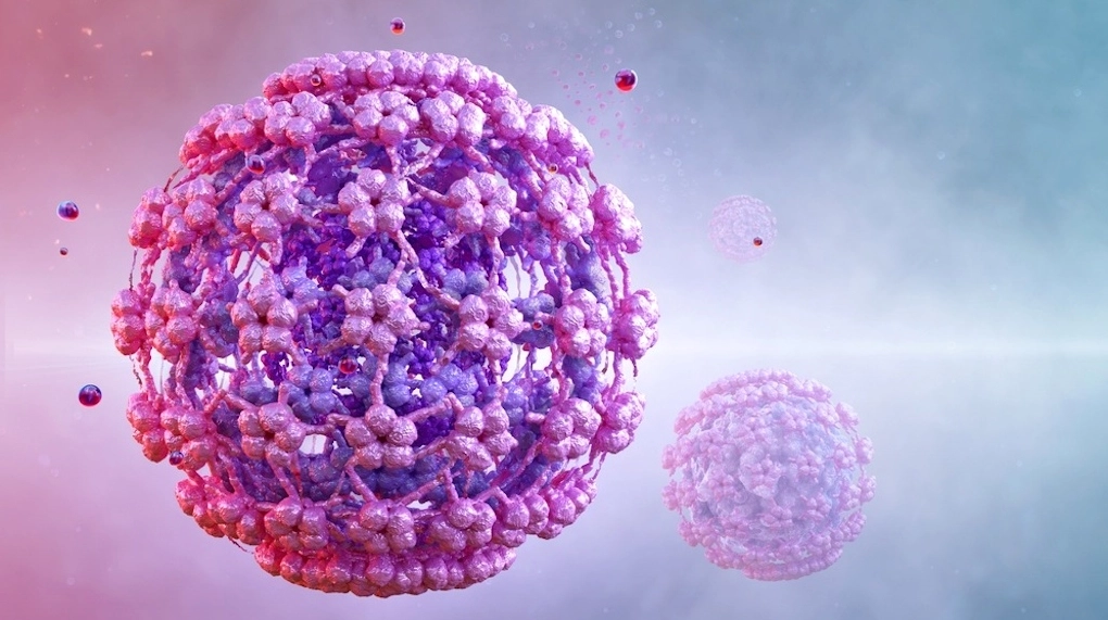 Những hiểu biết khoa học về thắc mắc hpv 58 gây ra bệnh gì hiện nay