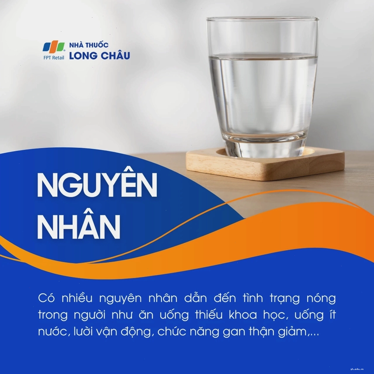 Nóng trong người 3