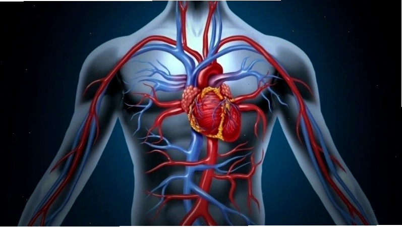 Nước ép ổi hỗ trợ tích cực cho tim mạch