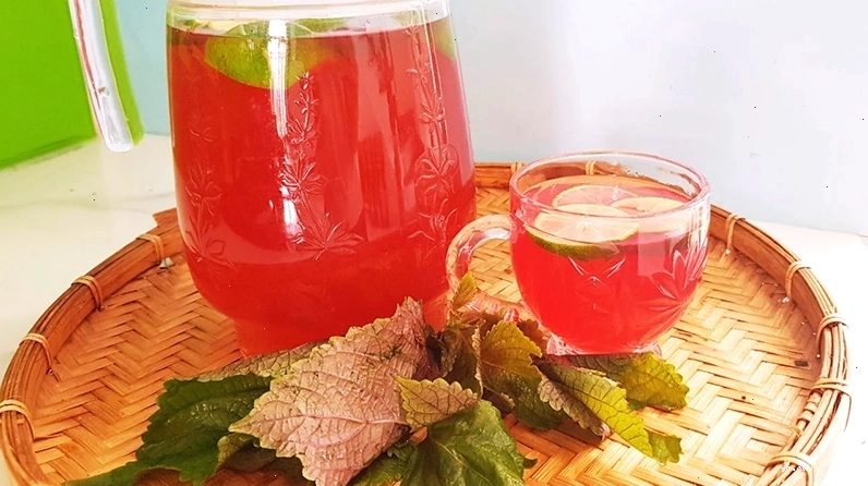 Nước lá tía tô giải nhiệt ngày hè