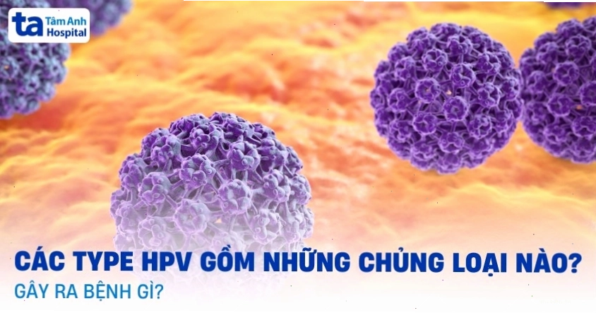 Phân loại các chủng virus HPV