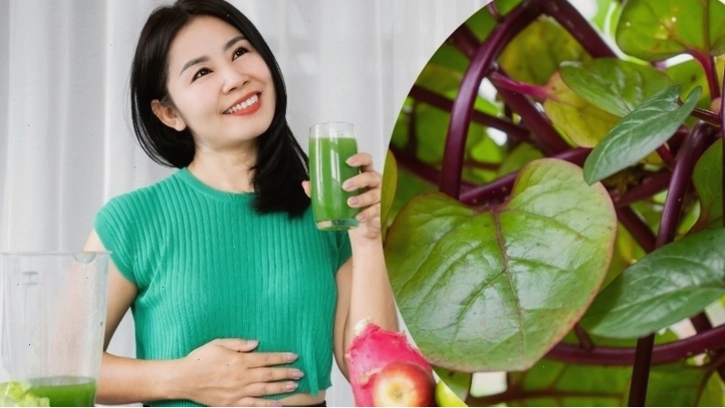 Phần thân và lá của mồng tơi tím
