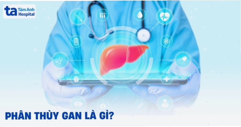 Phân thùy gan hỗ trợ chẩn đoán