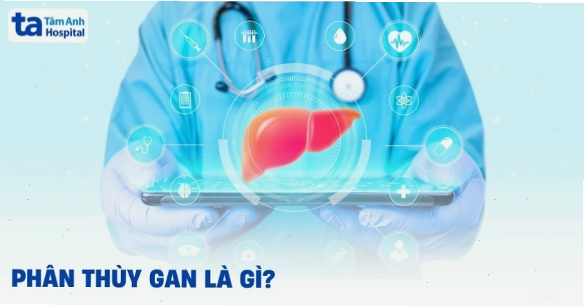 Phân thùy gan trong chẩn đoán và phẫu thuật