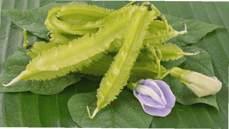 Phân tích dinh dưỡng trong đậu rồng
