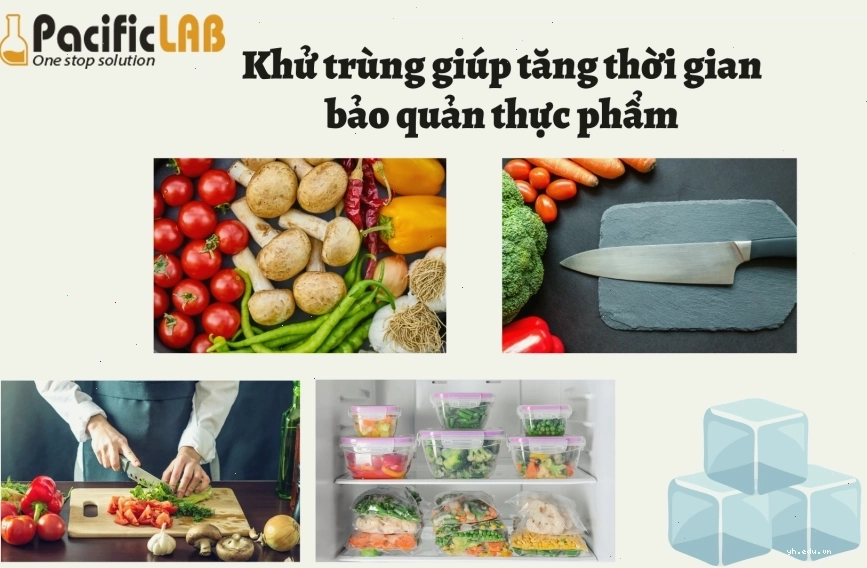 Phòng ngừa vi khuẩn Bacillus cereus
