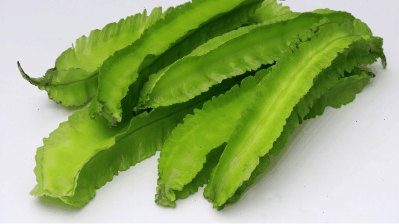 Quả đậu rồng tươi xanh