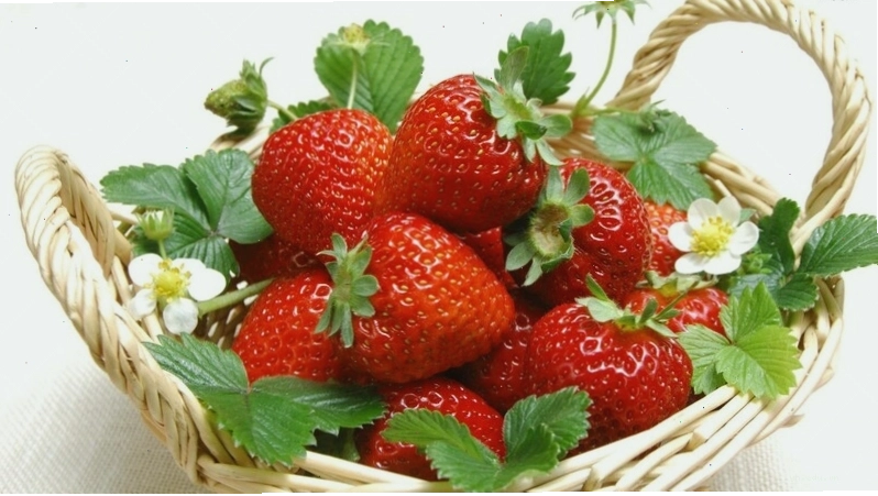 Quả dâu tây có lỗ li ti gây sợ hãi