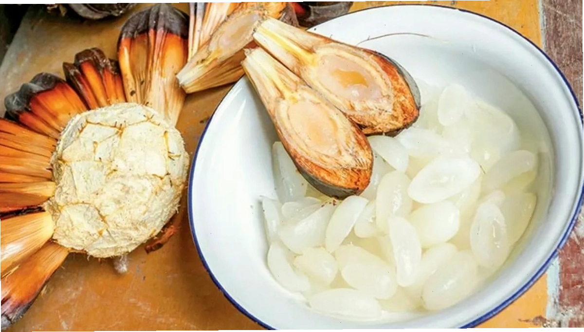 Quả dừa nước tươi ngon được thu hoạch