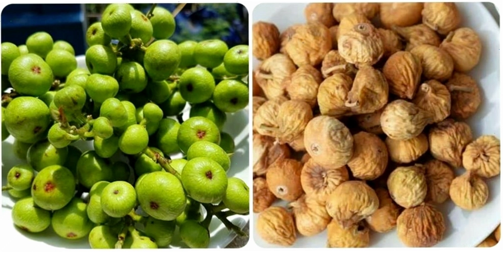 Quả sung tươi và khô đều mang lại giá trị dinh dưỡng cao cho người sử dụng