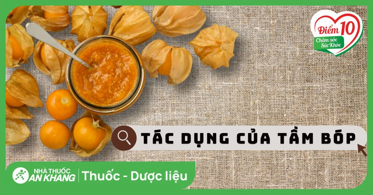 Quả tầm bóp chữa bệnh gì và những lợi ích bất ngờ cho sức khỏe