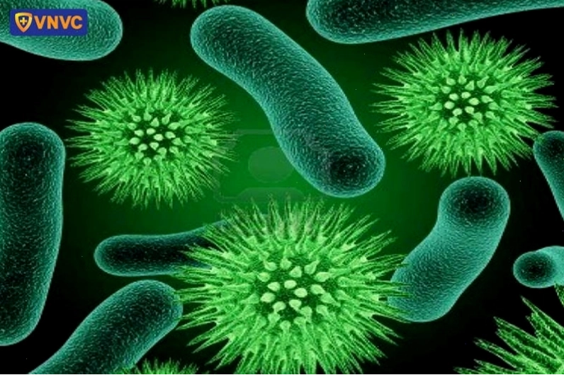 Quá trình virus vi khuẩn xâm nhập vào cơ thể con người