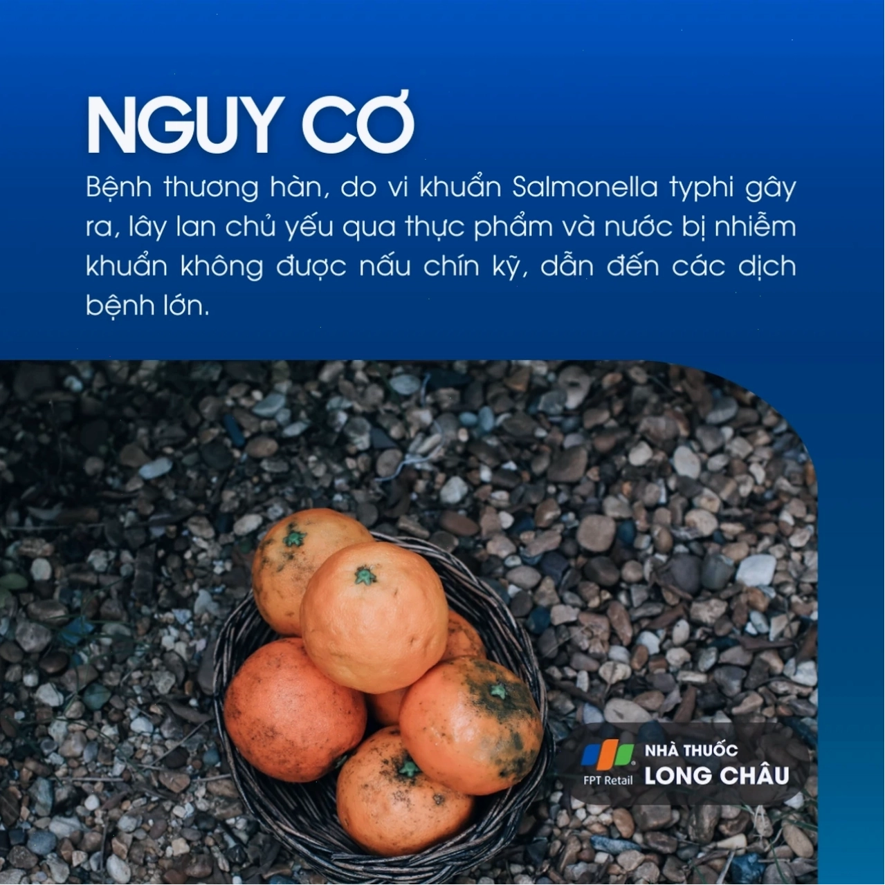 Quy trình kiểm soát bệnh thương hàn