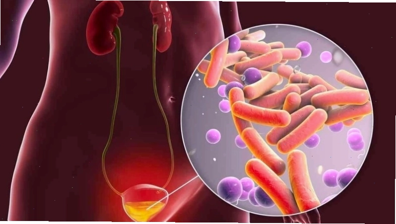 Râu ngô giúp trị các bệnh đường tiết niệu