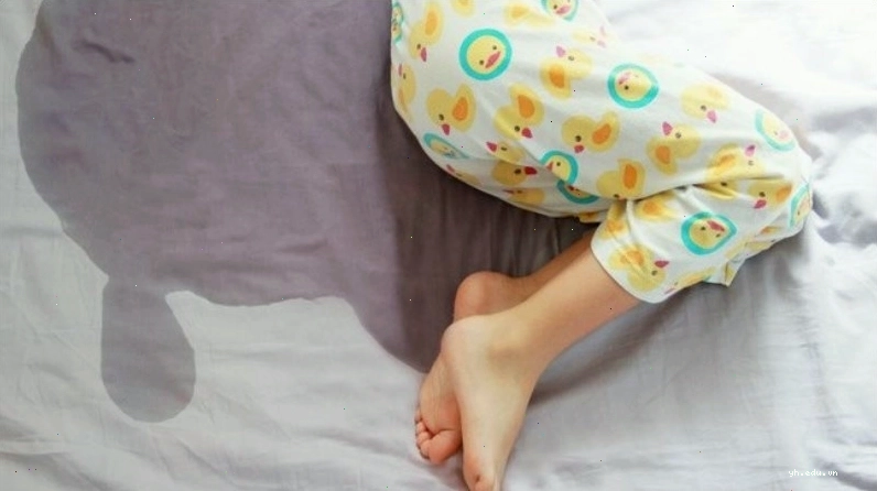 Sắc với lửa nhỏ bài thuốc gồm quả tật lê khô hoàng kỳ phục linh sơn thù trị đái dầm ở trẻ em