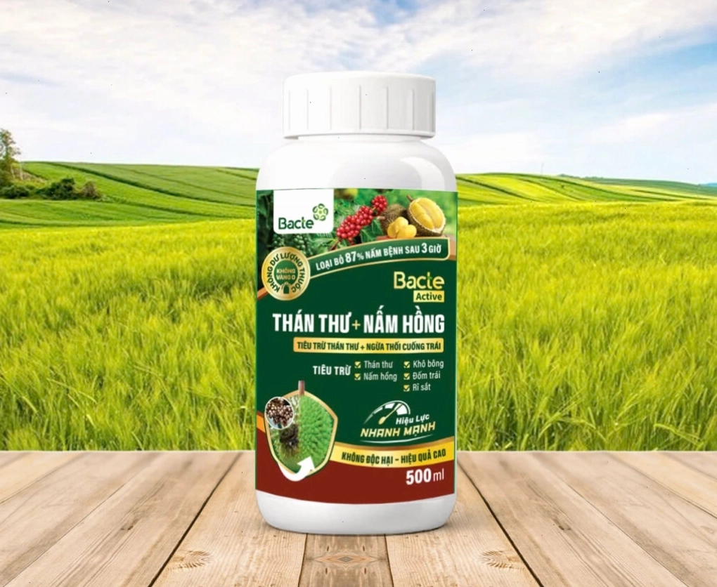 Sản phẩm hỗ trợ trị bệnh thán thư nấm hồng